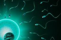 详解移植前宫腔灌注的作用，不止能治疗子宫内膜薄