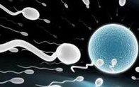 温州中山医院做三代试管成功率如何？一文读懂需要花多少钱