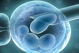 试管婴儿促排卵为什么有空囊